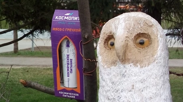 Космическое питание.