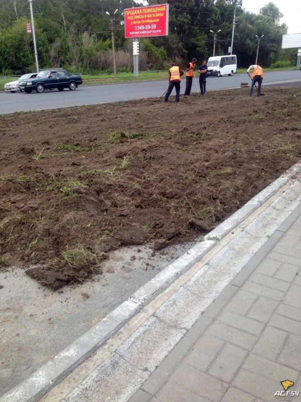 В Новосибирске уложили газон поверх свежего асфальта. 24 июля 2017 года.