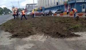 В Новосибирске уложили газон поверх свежего асфальта. 24 июля 2017 года.