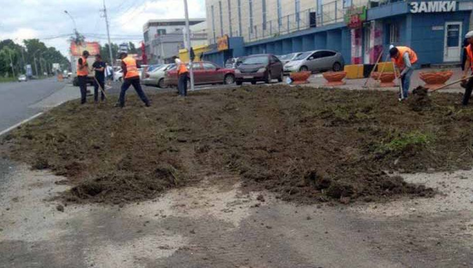 В Новосибирске уложили газон поверх свежего асфальта. 24 июля 2017 года.