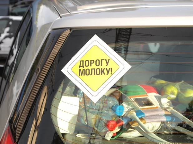 На Алтае впервые пройдет автопробег "Дорогу молоку" 