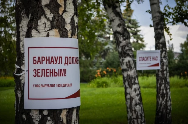 В Барнуле прошел "митинг деревьев". 26 июля 2017 года.