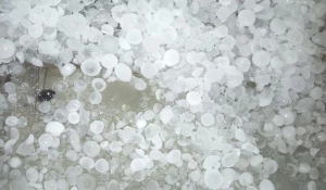 Град в Бийске.