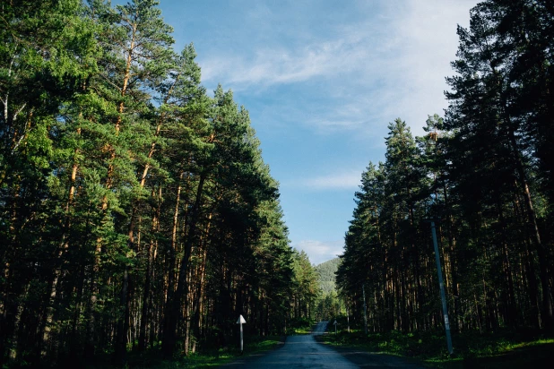 Барнаульцев приглашают принять участие в празднике бега.