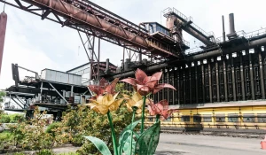 Как работает зелёный коксохим.