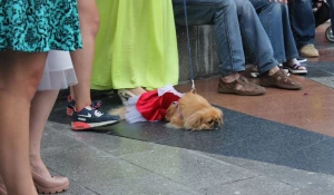 Международный День женственности в Барнауле.