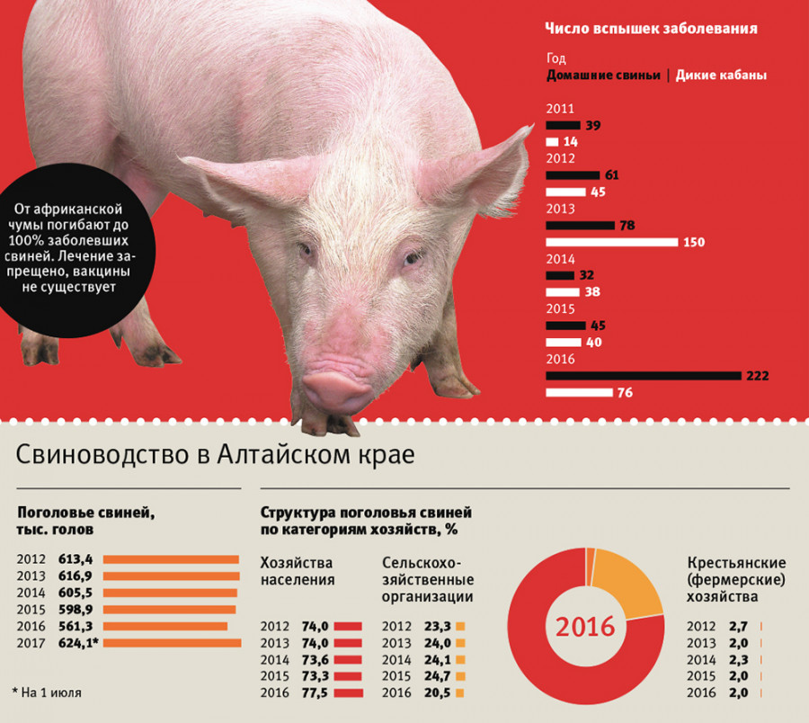 Число вспышек заболевания и свиноводство в Алтайском крае.