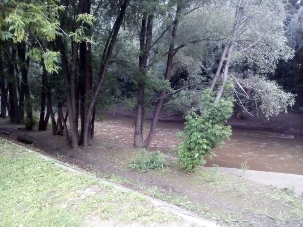 Центральный парк Барнаула.