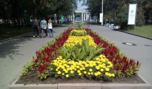 Центральный парк Барнаула.