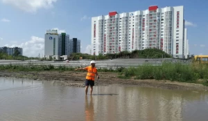 Инспекция ОНФ замеряет глубину луж в новостройках Барнаула