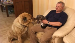 Алтайский парламентарий Валерий Елыкомов рассказал о своих домашних животных .