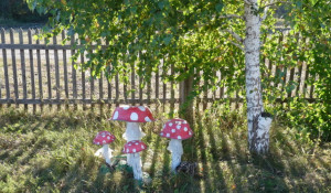 Село Чинета. В палисаднике грибы небывалой красоты.