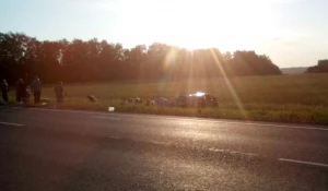 ДТП на алтайской трассе.