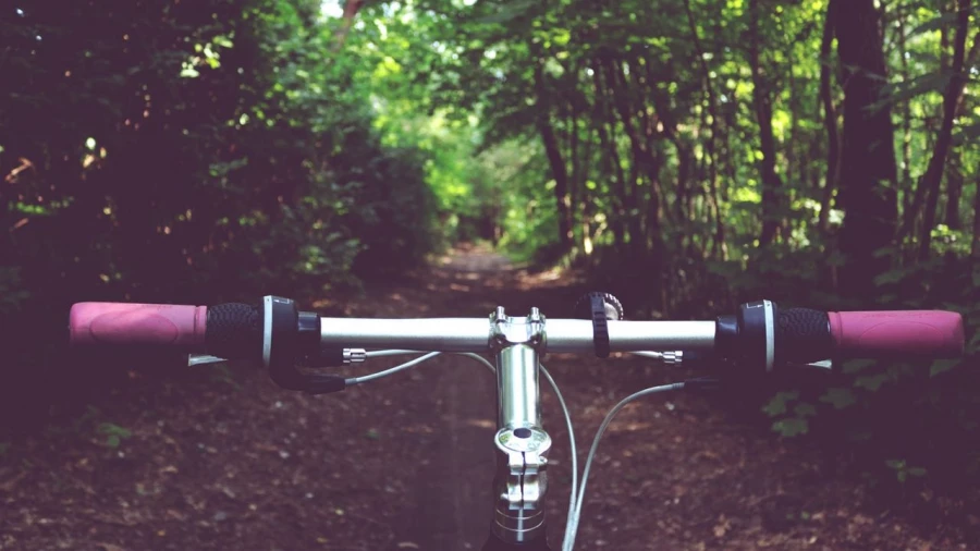 На велосипеде в лесу.
