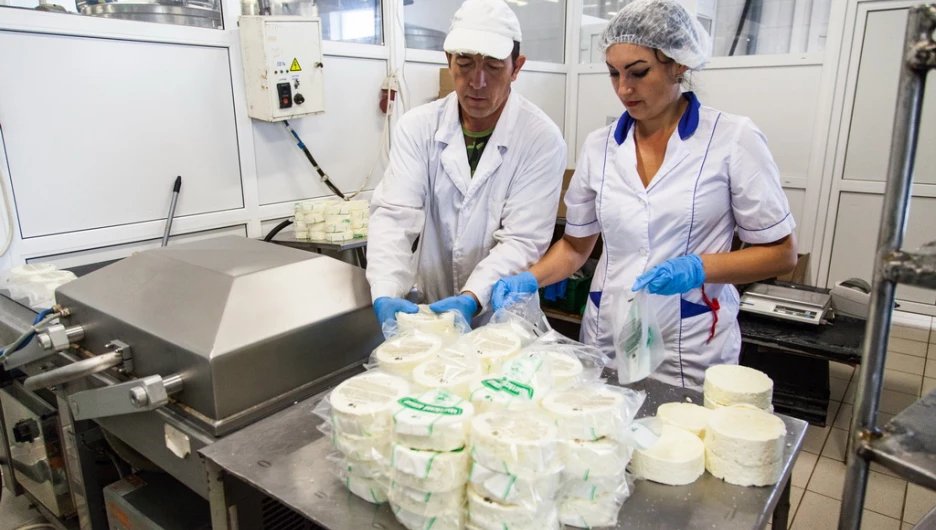 Производство сыра на предприятии "Рикон" в Калманском районе 