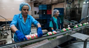 На Алтае три дня проходил автопробег "Дорогу молоку!" 