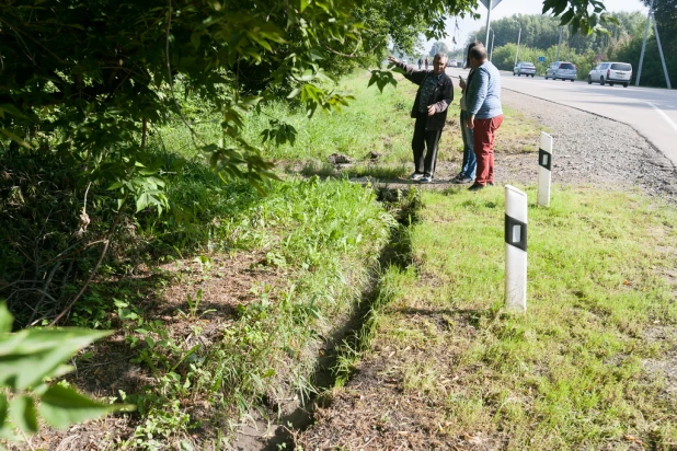 Почему топит садоводства вдоль Змеиногорского тракта в Барнауле. 