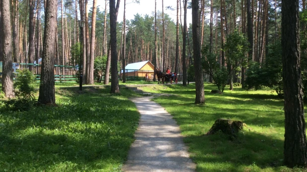 В "Томской писанице".