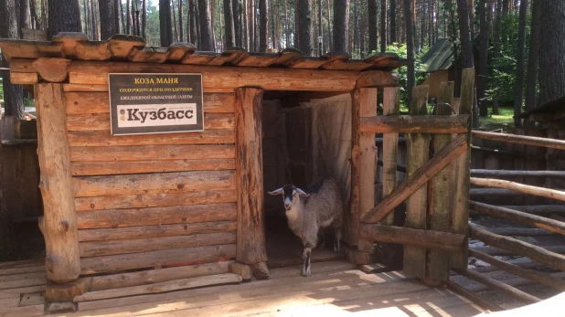 В "Томской писанице".