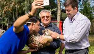 Барнаульский зоопарк впервые показал тигрят, родившихся в июне. 17 августа 2017 года.