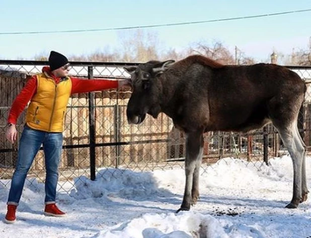 В Барнаульском зоопарке.