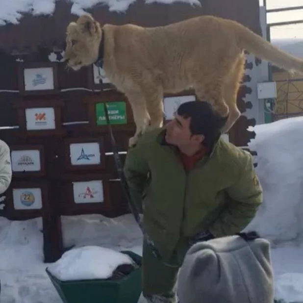 В Барнаульском зоопарке.