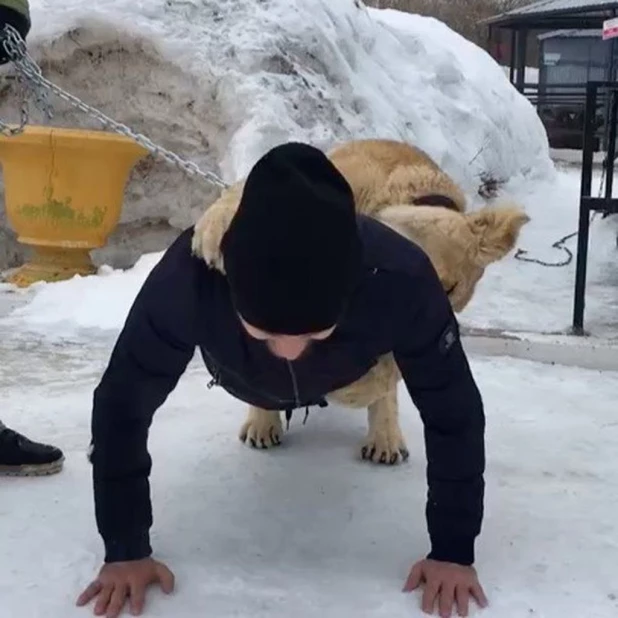 В Барнаульском зоопарке.