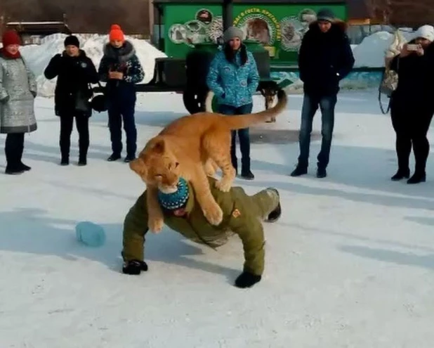 В Барнаульском зоопарке.