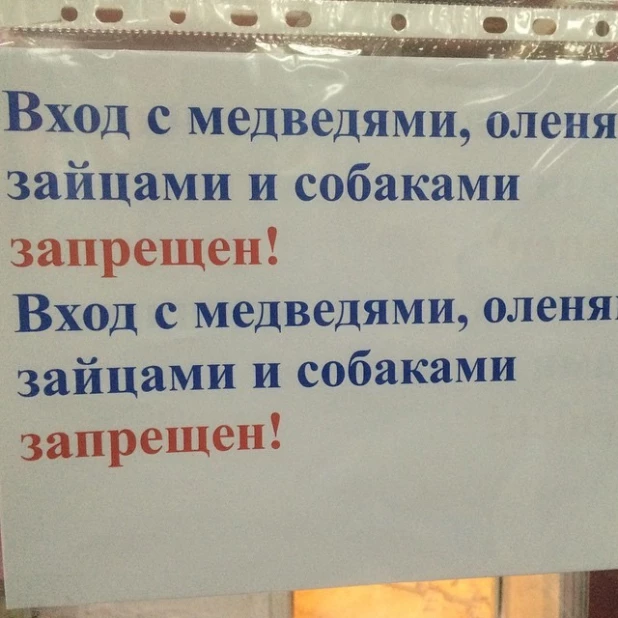 Смешные запреты.