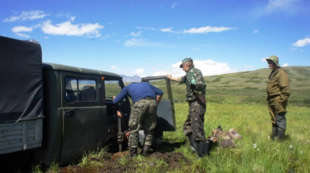 Экспедиция в Горный Алтай.