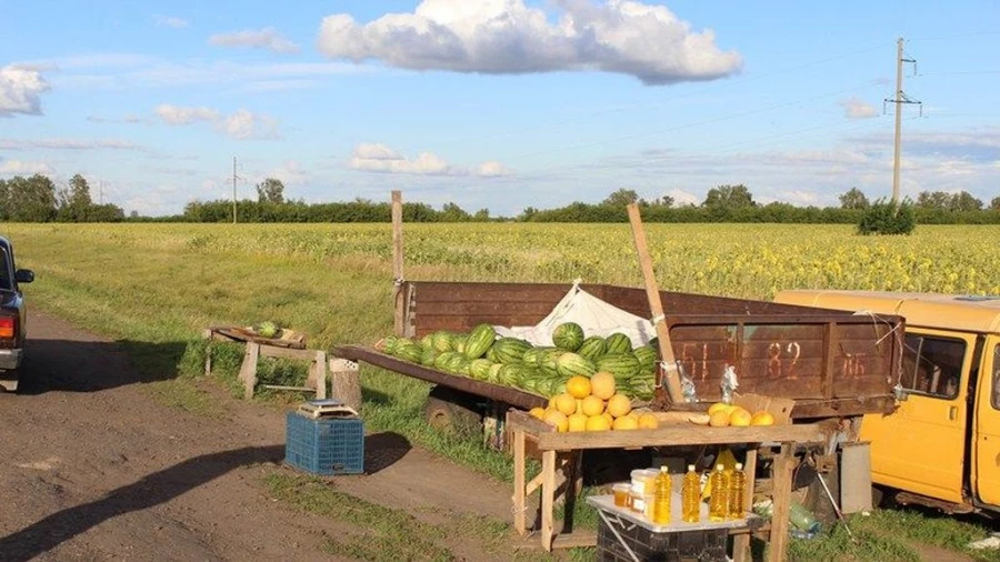 Жители села Подсосново украли арбузы и дыни.