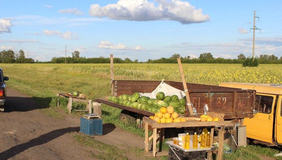 Жители села Подсосново украли арбузы и дыни.