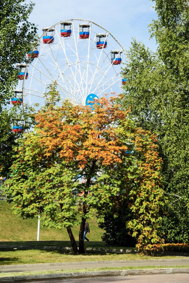 Последний день лета в Барнауле. 31 августа 2017 года.