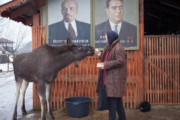 Такое мог сотворить только русский человек.