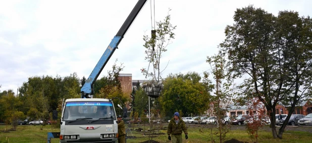 У Привокзальной площади высаживают рябины