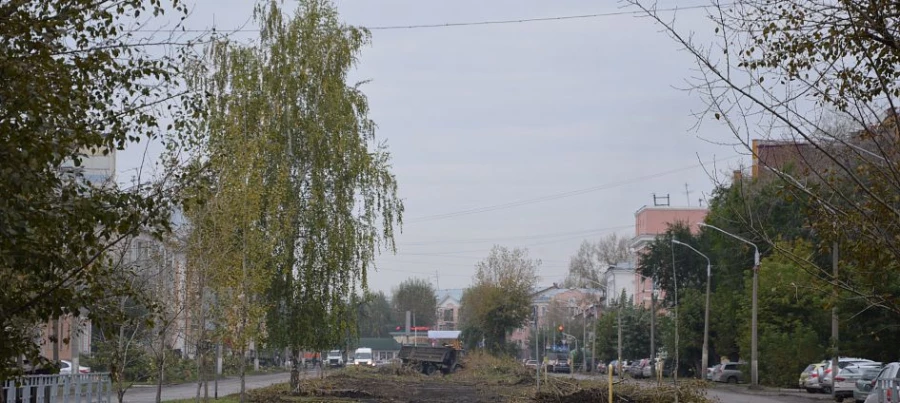 Вырубка деревьев на аллее на ул. Профинтерна