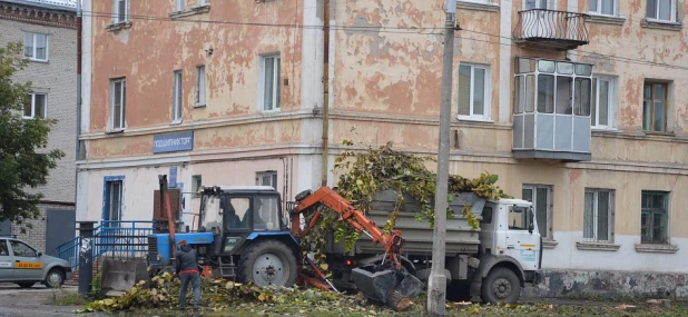 Вырубка деревьев на аллее на ул. Профинтерна