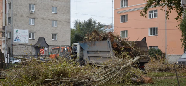 Вырубка деревьев на аллее на ул. Профинтерна