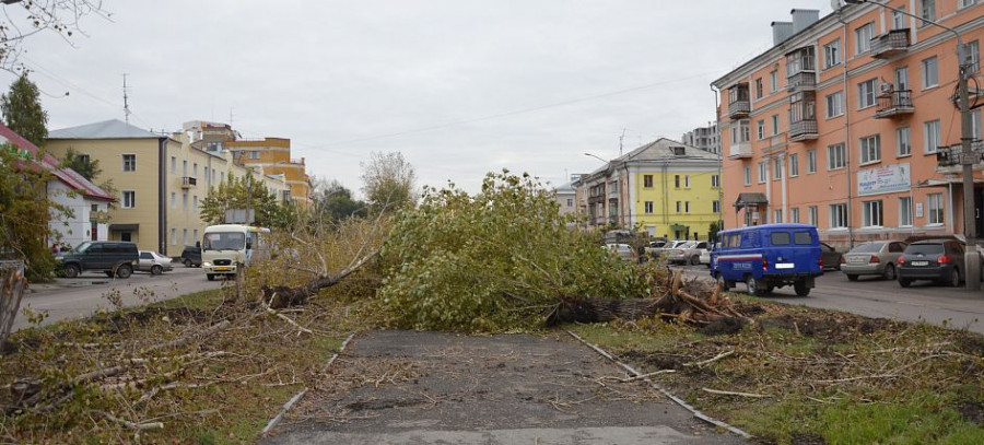 Вырубка деревьев на аллее на ул. Профинтерна