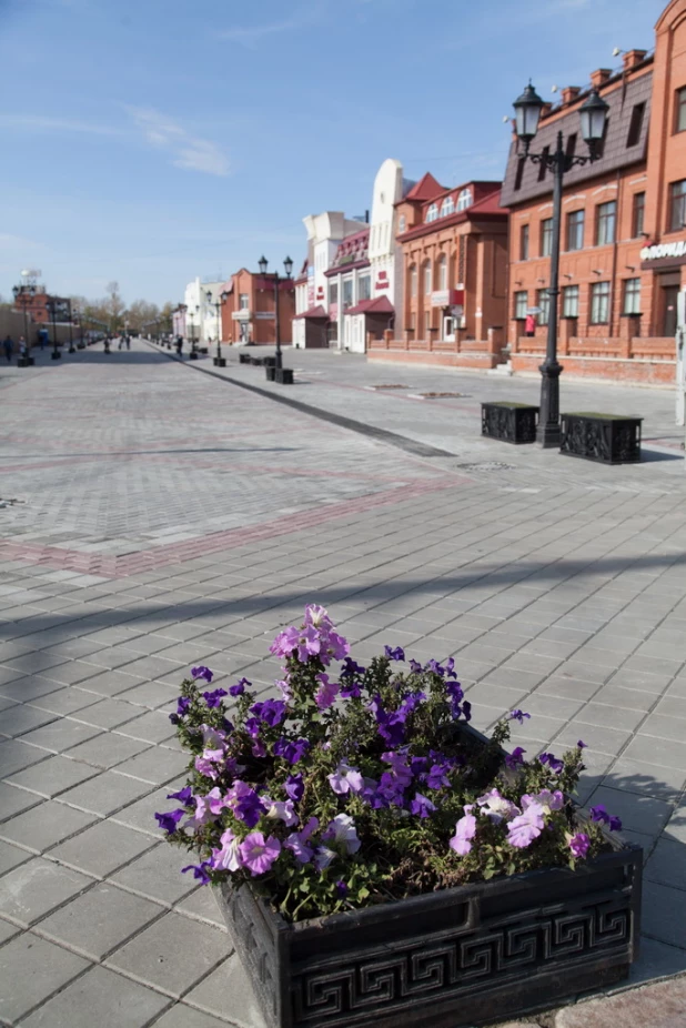 "Барнаульский Арбат" за день до открытия. Ул. Мало-Тобольская.