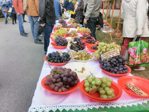 Фестиваль национальных культур в Барнауле.