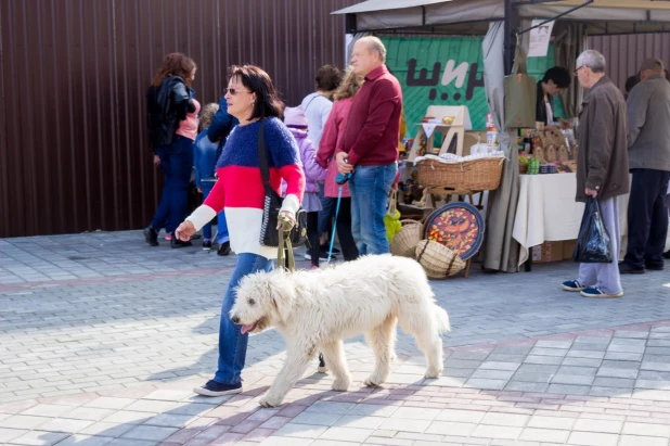 Мгновения празднований Дня города в Барнауле и юбилея Алтайского края. 