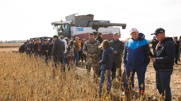 Урожай высокопротеиновой сои.