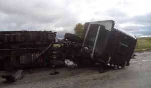 На алтайской трассе столкнулись фура и иномарка