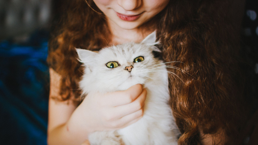 Девочка с котом.