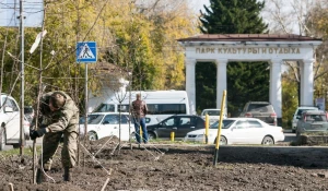 На улице Профинтерна высаживают яблони. 27 сентября 2017 года.