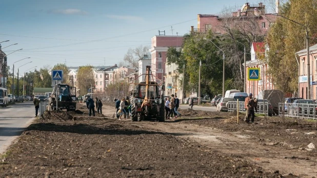 На улице Профинтерна высаживают яблони. 27 сентября 2017 года.