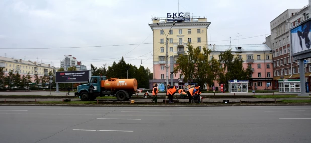 В Барнауле высаживают тюльпаны.