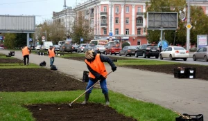 В Барнауле высаживают тюльпаны.