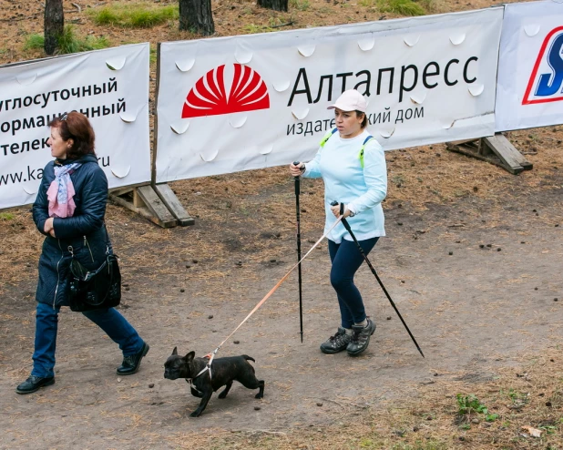 День ходьбы 1 октября 2017 года.